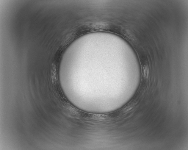 X0000062151251200512301544