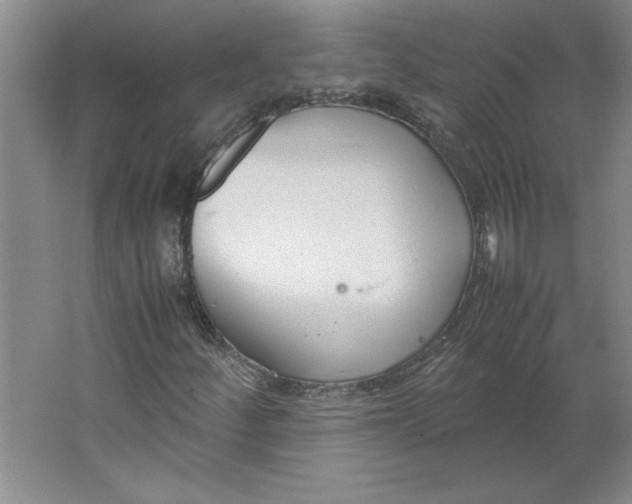 X0000062151252200512301544