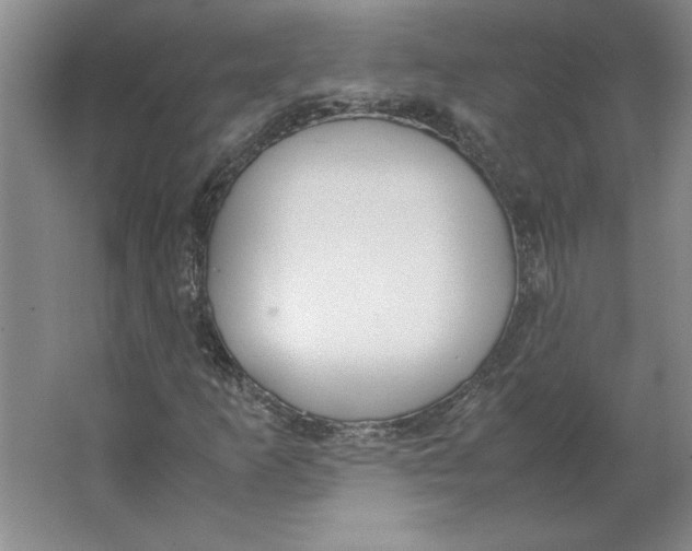 X0000062151253200512301544