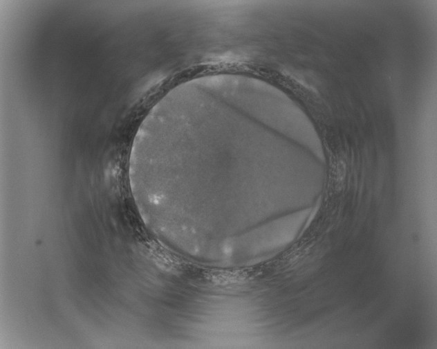 X0000062151254200512301544