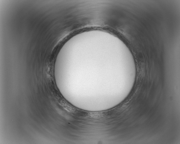 X0000062151258200512301544