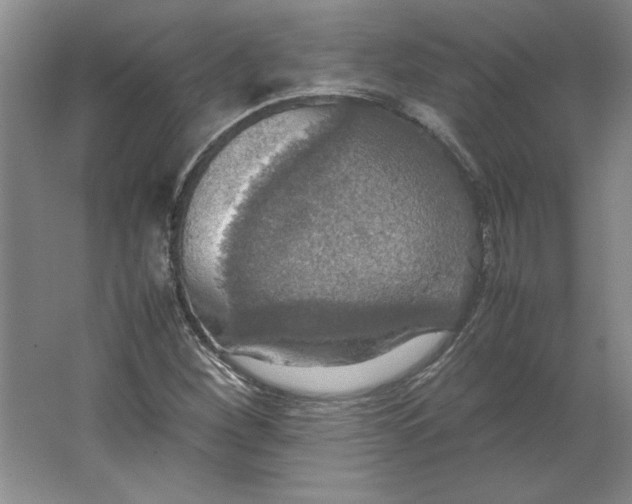 X0000062151260200512301544