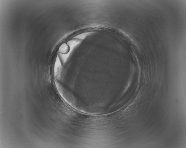 X0000062151262200512301544