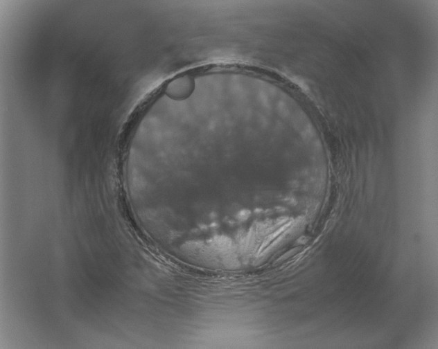 X0000062151263200512301544