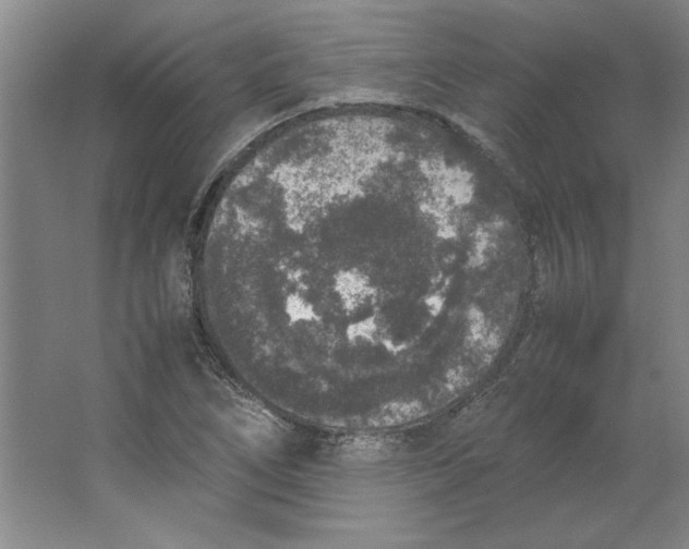 X0000062151266200512301544