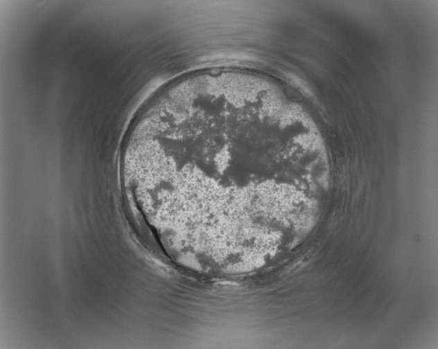 X0000062151275200512301544
