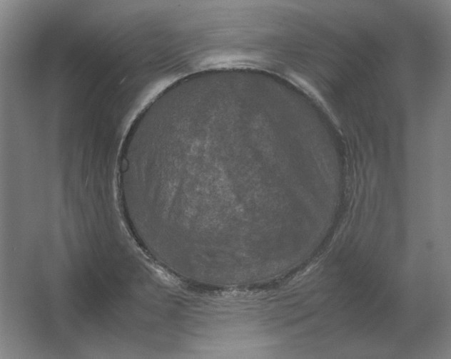 X0000062151277200512301544