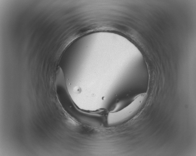 X0000062151281200512301544
