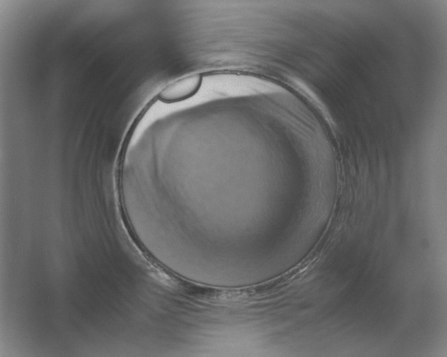 X0000062151291200512301543
