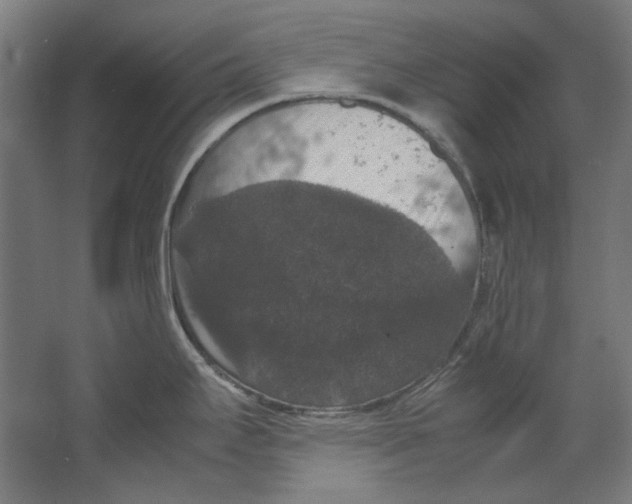 X0000062151295200512301543