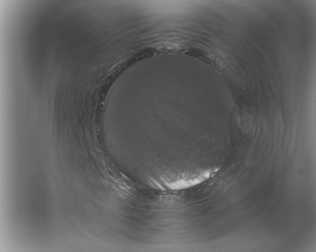 X0000062151297200512301542