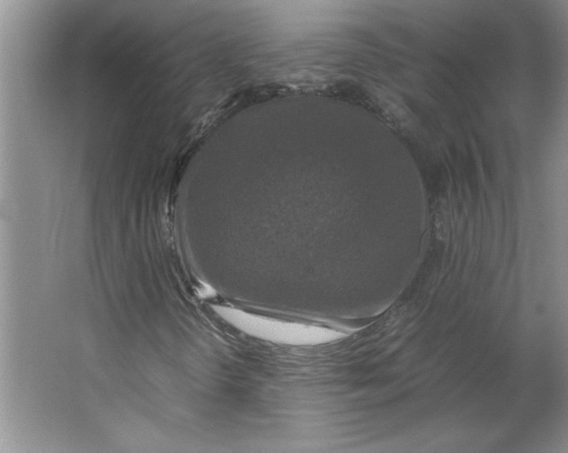 X0000062151298200512301543