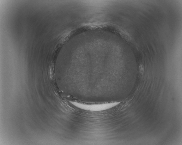 X0000062151300200512301543