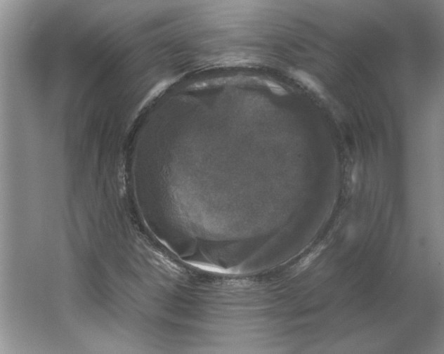 X0000062151306200512301543