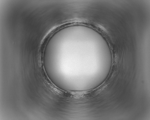 X0000062151310200512301543