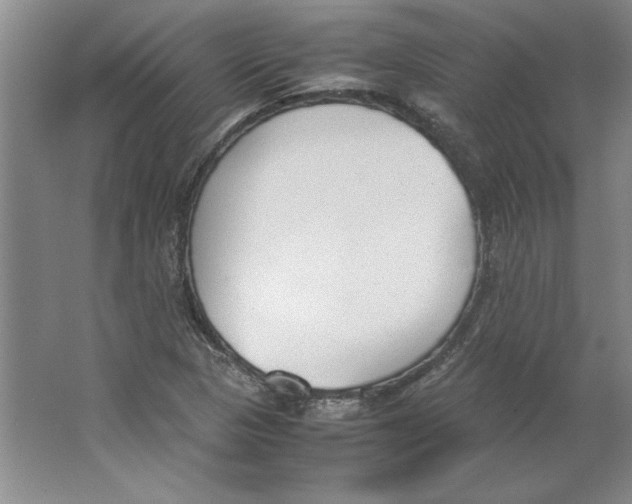 X0000062151313200512301543