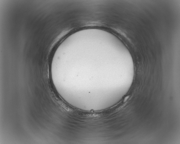 X0000062151317200512301543