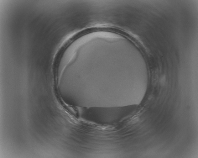 X0000062151319200512301543