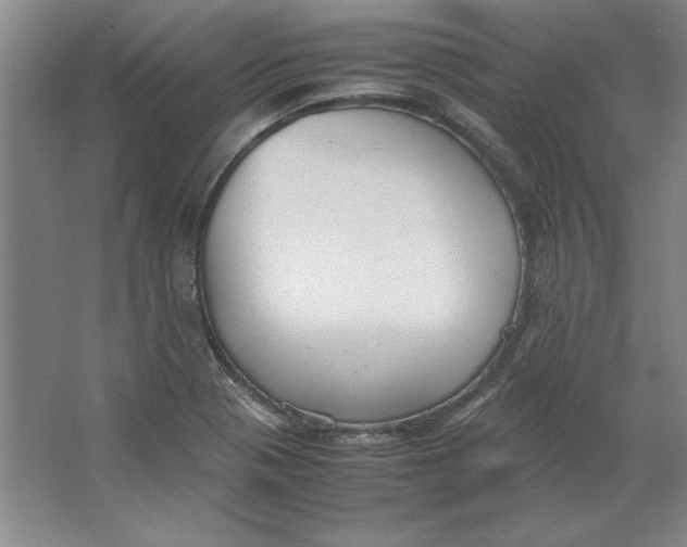 X0000062151321200512301543
