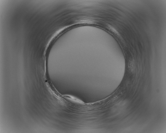 X0000062151323200512301543