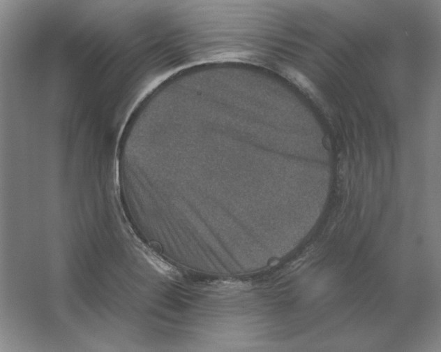 X0000062151324200512301543