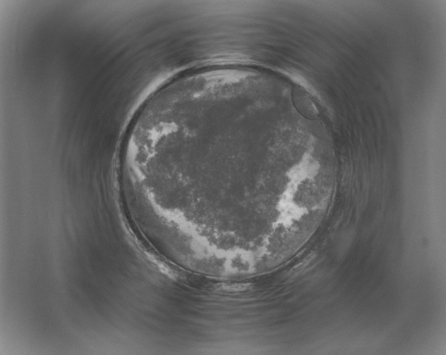 X0000062151325200512301543