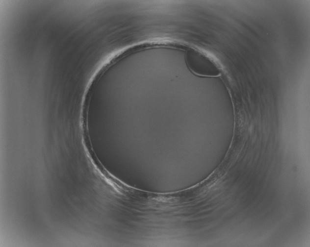 X0000062151327200512301543