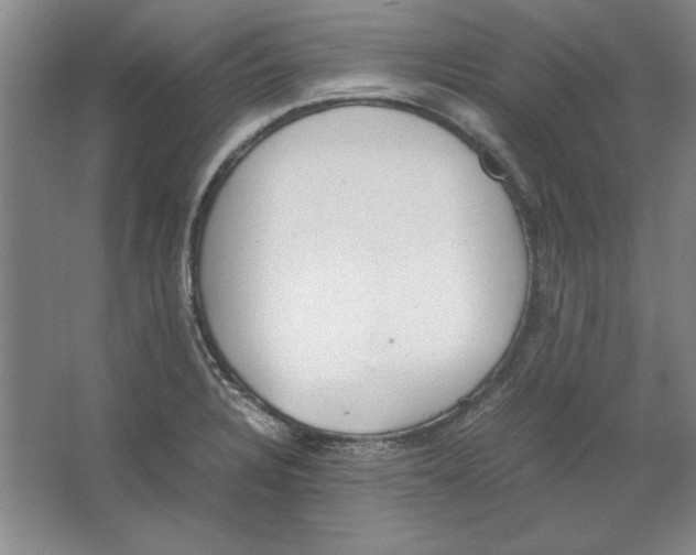 X0000062151328200512301543