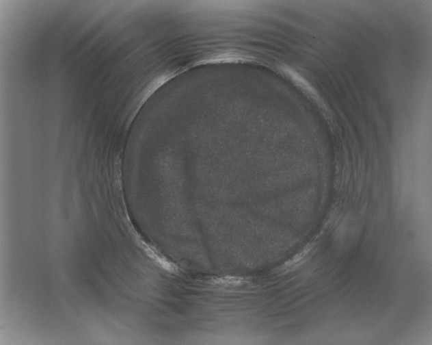 X0000062151329200512301543