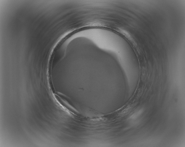 X0000062151331200512301543