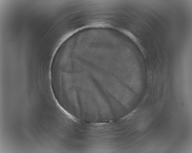 X0000062151335200512301543