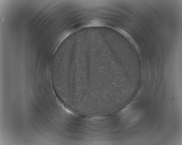 X0000062151337200512301543