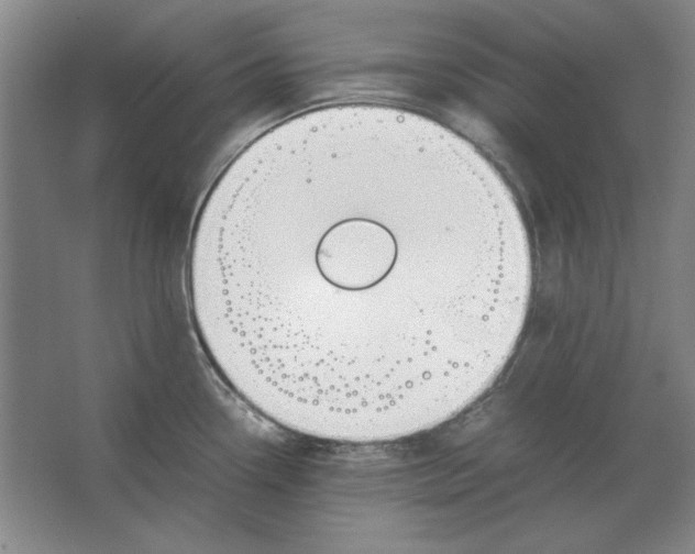 X0000062151338200512301543