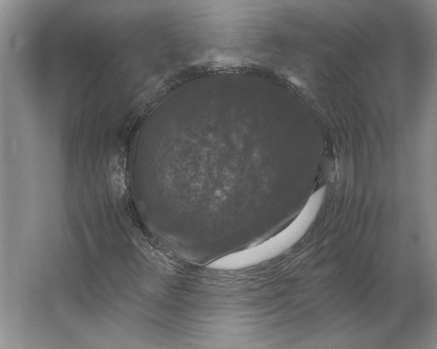 X0000062151348200512301542
