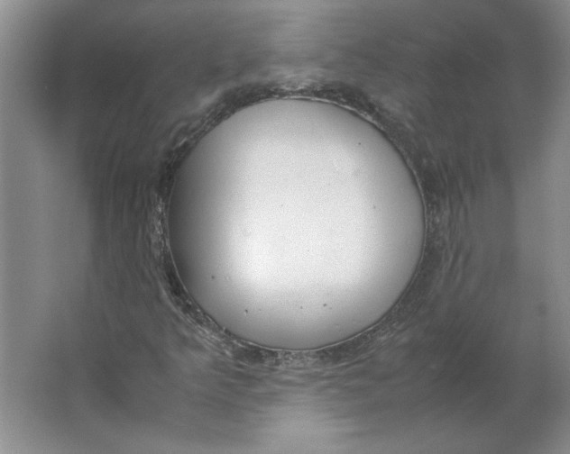 X0000062151349200512301542