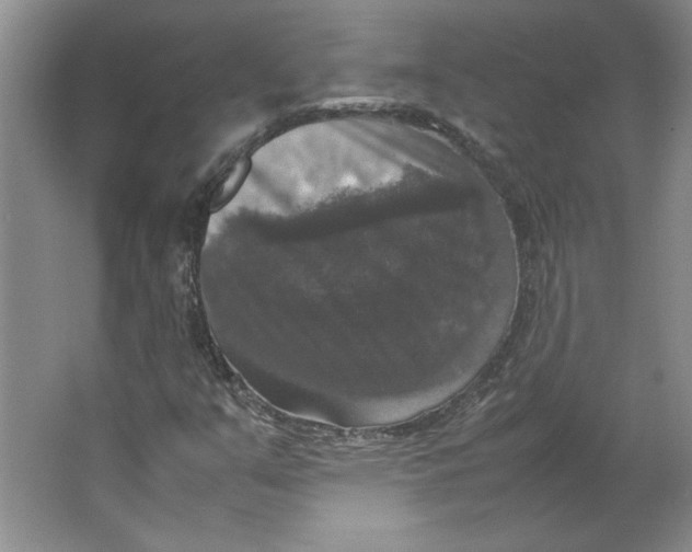X0000062151351200512301542