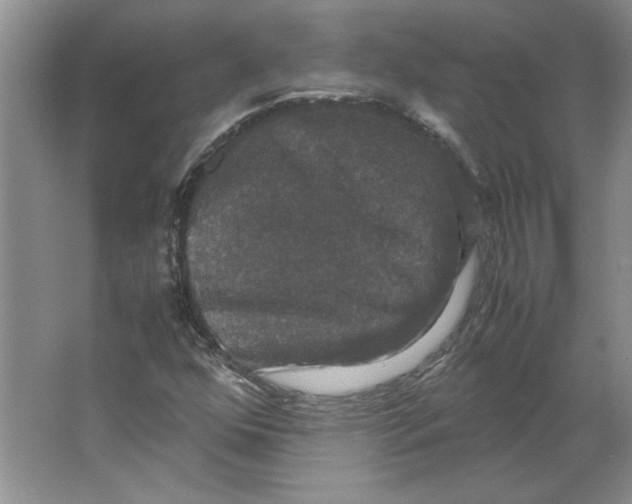 X0000062151352200512301542