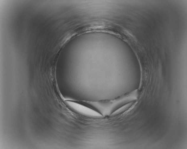 X0000062151353200512301542