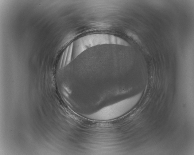 X0000062151354200512301542