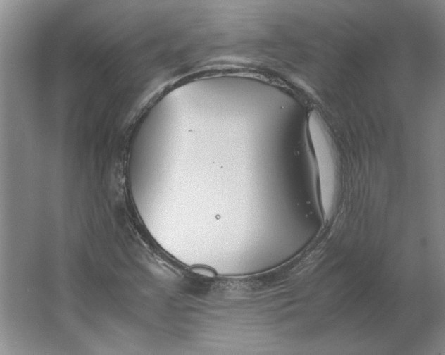 X0000062151355200512301542