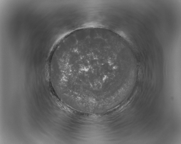 X0000062151358200512301542