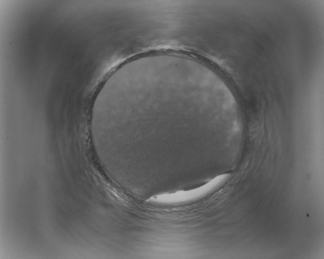 X0000062151359200512301542