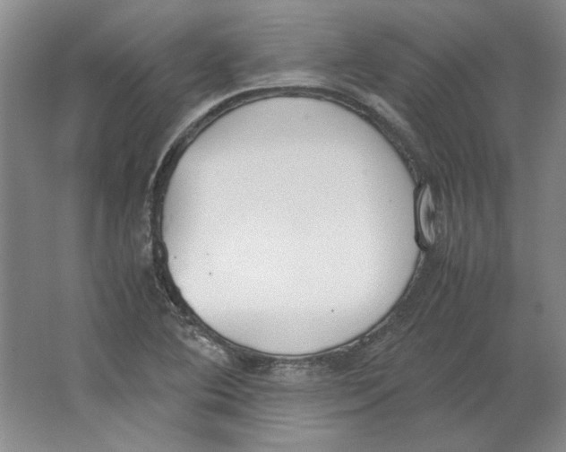 X0000062151364200512301542