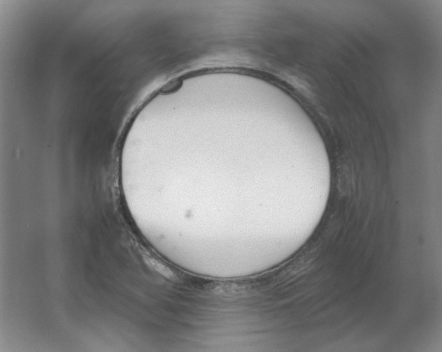 X0000062151366200512301542