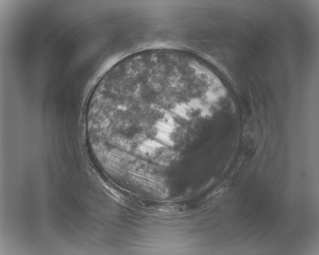 X0000062151367200512301542