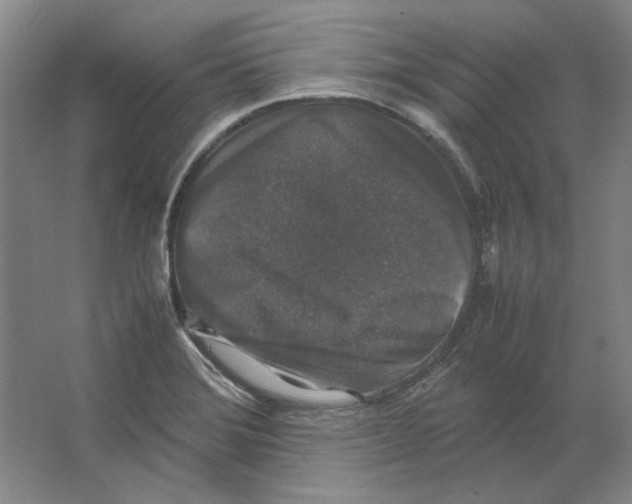 X0000062151372200512301542