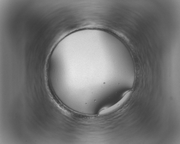 X0000062151375200512301542