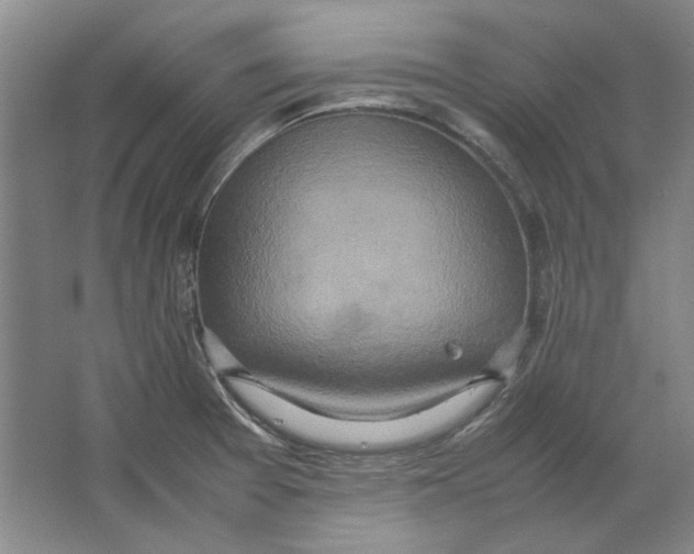 X0000062151377200512301542