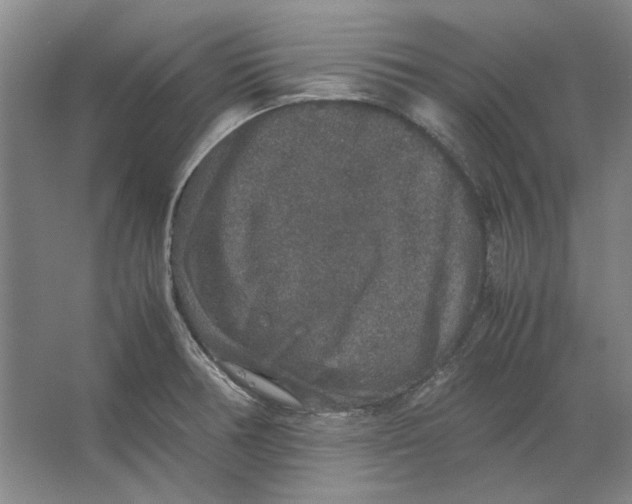 X0000062151378200512301542