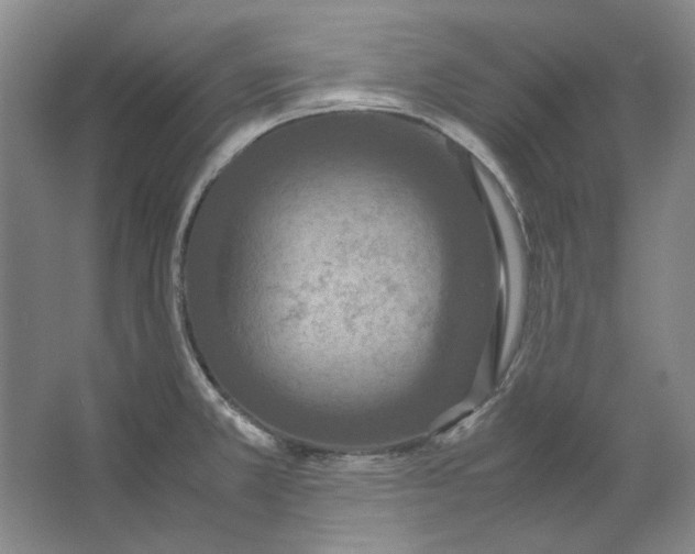 X0000062151381200512301542